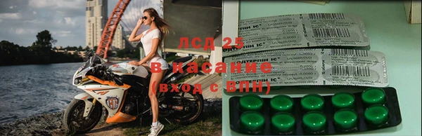 хмурый Алексеевка