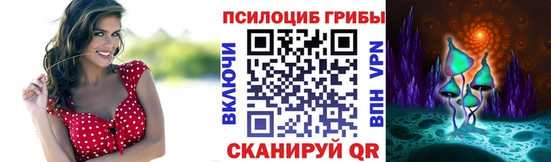 Псилоцибиновые грибы Magic Shrooms  Всеволожск 