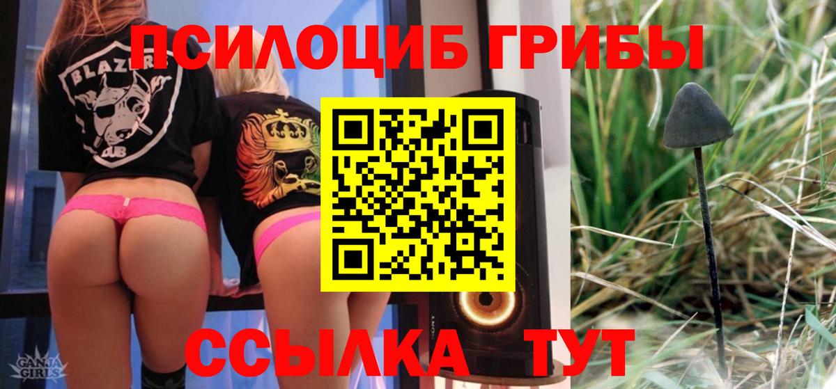 Всеволожск  Псилоцибиновые грибы Psilocybine cubensis  Вход с VPN  Псилоцибиновые грибы Psilocybine cubensis 