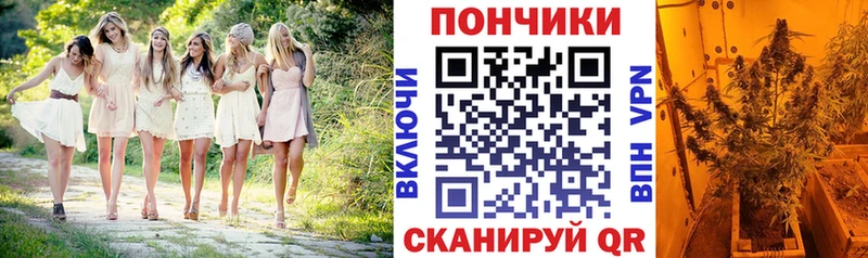 Марихуана AK-47  купить наркоту  Всеволожск 